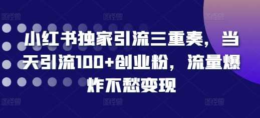 小红书独家引流三重奏，当天引流100+创业粉，流量爆炸不愁变现【揭秘】-中创项目网