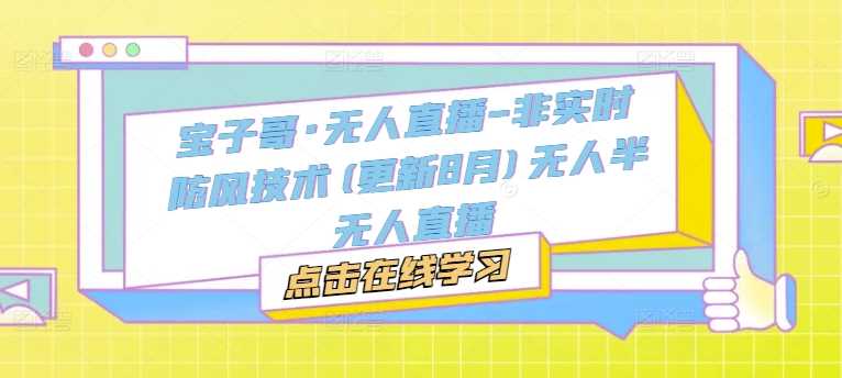 宝子哥·无人直播-非实时防风技术(更新11月)无人半无人直播-中创项目网