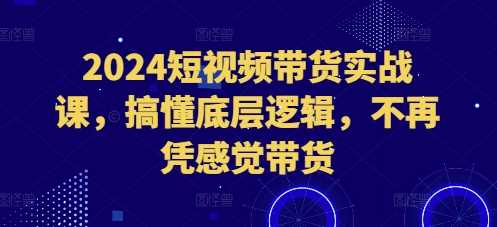 2024短视频带货实战课，搞懂底层逻辑，不再凭感觉带货-中创项目网