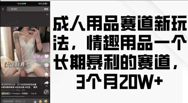 成人用品赛道新玩法，情趣用品一个长期暴利的赛道，3个月收益20个【揭秘】-中创项目网