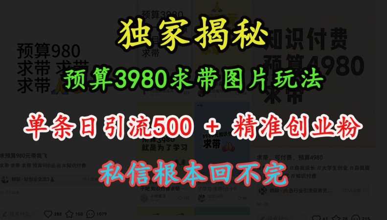 预算3980求带 图片玩法，单条日引流500+精准创业粉，私信根本回不完-中创项目网