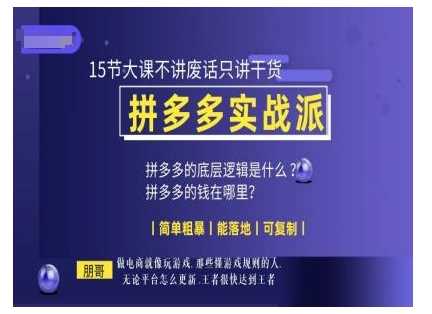 朋哥电商(拼多多实战派)，15节大课不讲废话只讲干货，简单粗暴 能落地 可复制-中创项目网