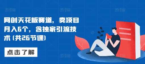 网创天花板赛道，卖项目月入6个，含独家引流技术(共26节课)-中创项目网