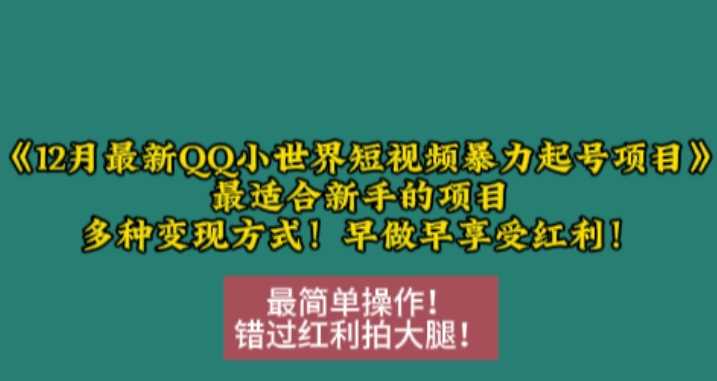 12月最新QQ小世界短视频暴力起号项目，最适合新手的项目，多种变现方式-中创项目网