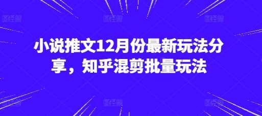 小说推文12月份最新玩法分享，知乎混剪批量玩法-中创项目网