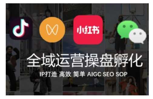 全域运营操盘(抖音+私域+小红书)，IP打造高效简单-中创项目网