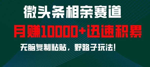 微头条相亲赛道，迅速积累，无脑复制粘贴，野路子玩法，月入1w-中创项目网
