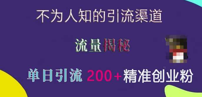 不为人知的引流渠道，流量揭秘，实测单日引流200+精准创业粉【揭秘】-中创项目网