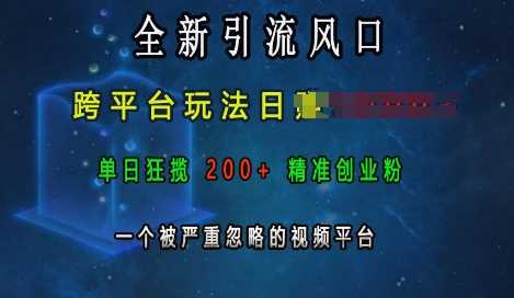 全新引流风口，跨平台玩法日入上k，单日狂揽200+精准创业粉，一个被严重忽略的视频平台-中创项目网