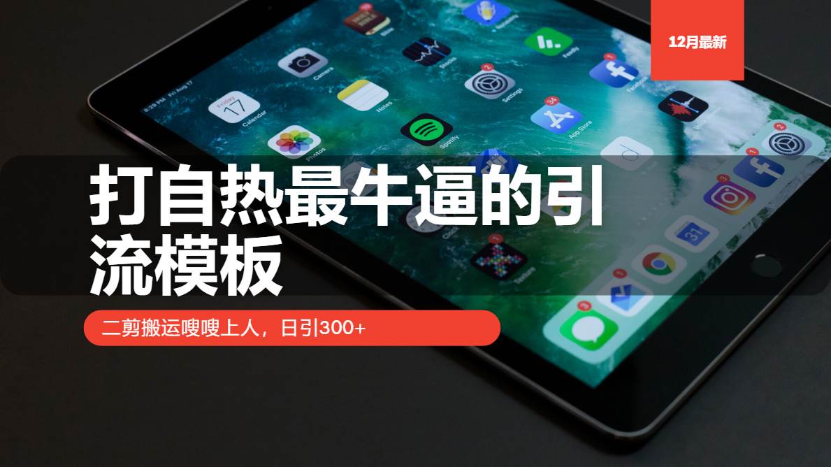 （13654期）打自热最牛逼的引流模板，二剪搬运嗖嗖上人，日引300+-中创项目网