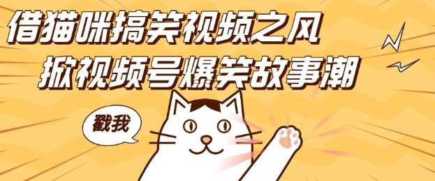 借猫咪搞笑视频之风，掀视频号爆笑故事潮，轻松日入四位数，无门槛快速入门!-中创项目网