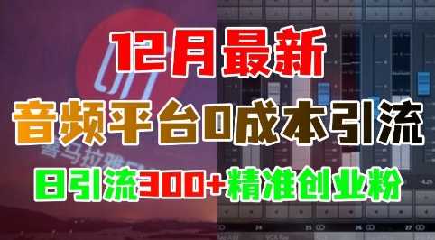 12月最新：音频平台0成本引流，日引流300+精准创业粉-中创项目网