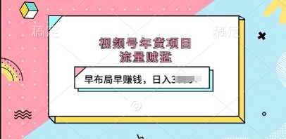 视频号年货项目，流量贼猛，早布局早挣钱，日入上k【揭秘】-中创项目网
