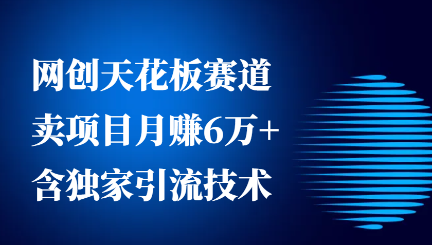 网创天花板赛道，卖项目月赚6万+，含独家引流技术（共26节课）-中创项目网