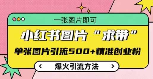 小红书图片‘求带’爆火引流法，单张图片引流500+精准创业粉【揭秘】-中创项目网