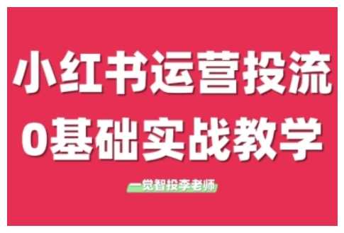 小红书运营投流，小红书广告投放从0到1的实战课，学完即可开始投放-中创项目网