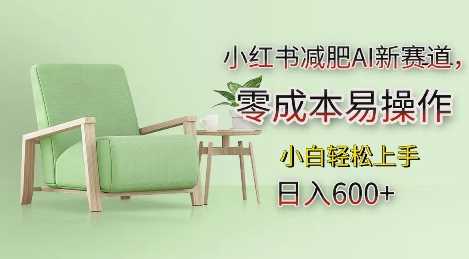 小红书减肥AI新赛道，零成本易操作，日入多张，小白轻松上手【揭秘】-中创项目网
