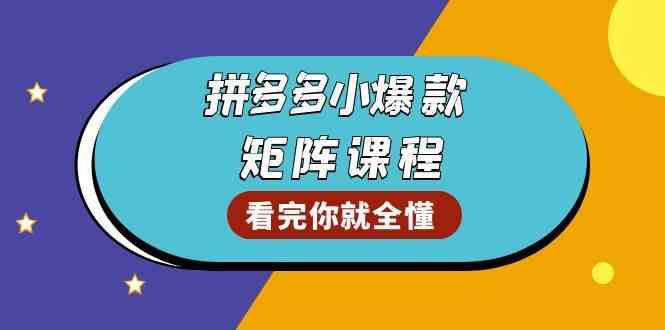 拼多多爆款矩阵课程：教你测出店铺爆款，优化销量，提升GMV，打造爆款群-中创项目网