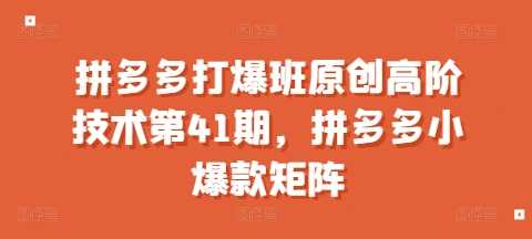 拼多多打爆班原创高阶技术第41期，拼多多小爆款矩阵-中创项目网