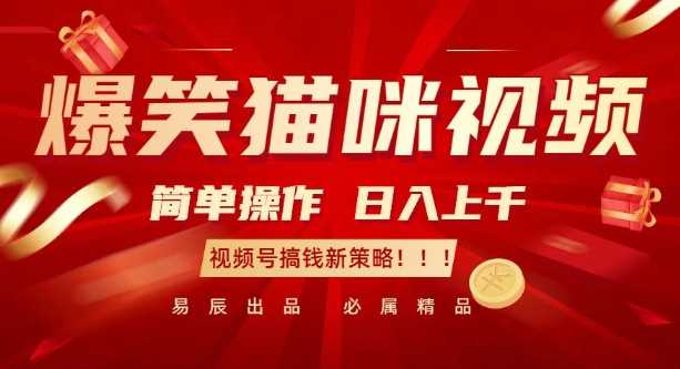 爆笑猫咪视频：简单操作，日入过K，视频号搞钱新策略【揭秘】-中创项目网