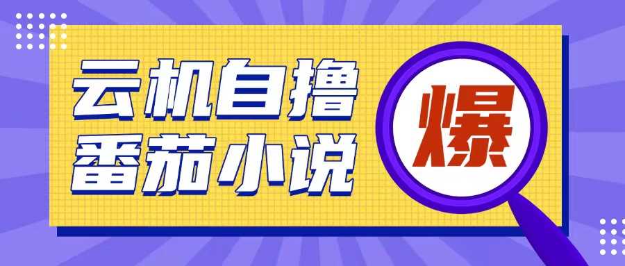 首发云手机自撸小说玩法，10块钱成本可撸200+收益操作简单【揭秘】-中创项目网