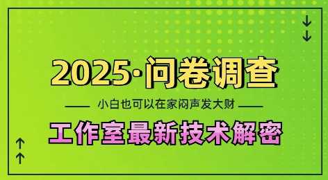 2025问卷调查最新工作室技术解密：一个人在家也可以闷声发大财，小白一天2张，可矩阵放大【揭秘】-中创项目网
