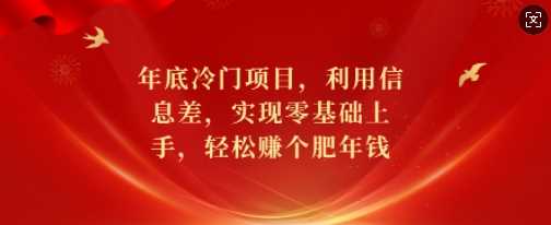 年底冷门项目，利用信息差，实现零基础上手，轻松赚个肥年钱【揭秘】-中创项目网