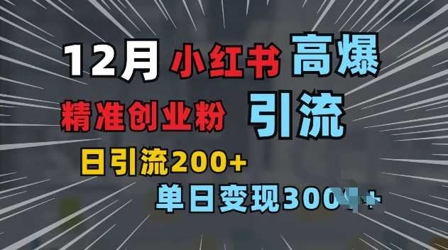 小红书一张图片“引爆”创业粉，单日+200+精准创业粉 可筛选付费意识创业粉【揭秘】-中创项目网