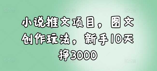 小说推文项目，图文创作玩法，新手10天挣3000-中创项目网