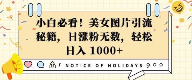 小白必看，美女图片引流秘籍，日涨粉无数，轻松日入几张【揭秘】-中创项目网