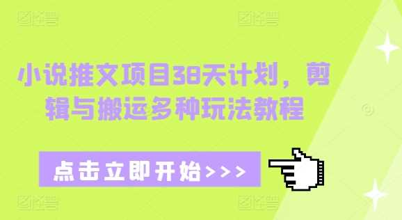 小说推文项目38天计划，剪辑与搬运多种玩法教程-中创项目网
