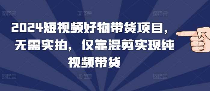 2024短视频好物带货项目，无需实拍，仅靠混剪实现纯视频带货-中创项目网