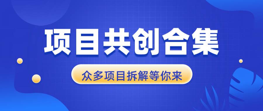 （13778期）项目共创合集，从0-1全过程拆解，让你迅速找到适合自已的项目-中创项目网