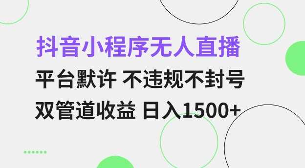 抖音小程序无人直播 平台默许 不违规不封号 双管道收益 日入多张 小白也能轻松操作【仅揭秘】-中创项目网