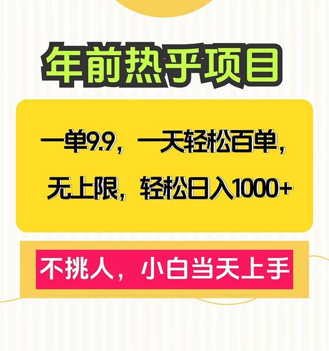 （13795期）一单9.9，一天百单无上限，不挑人，小白当天上手，轻松日入1000+-中创项目网