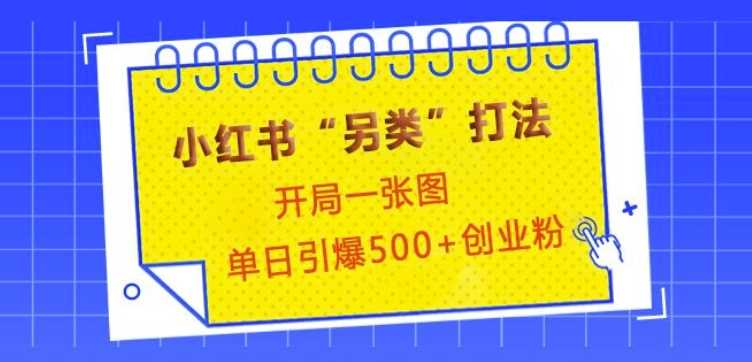 小红书“另类”打法，开局一张图，单日引爆500+精准创业粉【揭秘】-中创项目网