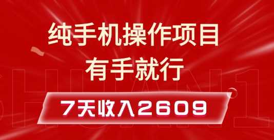 纯手机操作的小项目，有手就能做，7天收入2609+实操教程【揭秘】-中创项目网