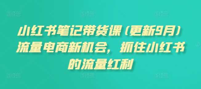 小红书笔记带货课(更新12月)流量电商新机会，抓住小红书的流量红利-中创项目网