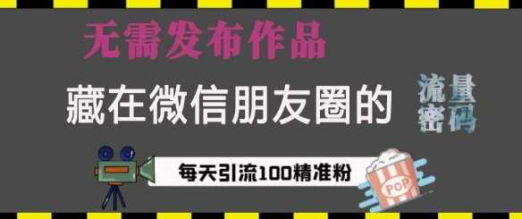 藏在微信朋友圈的流量密码，无需发布作品，单日引流100+精准创业粉【揭秘】-中创项目网