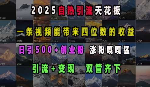 2025自热引流天花板，一条视频能带来四位数的收益，引流+变现双管齐下，日引500+创业粉，涨粉嘎嘎猛-中创项目网