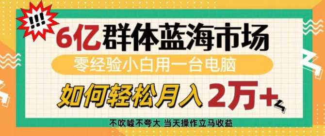 6亿群体蓝海市场，零经验小白用一台电脑，如何轻松月入过w【揭秘】-中创项目网