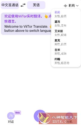 ViiTor实时翻译v2.4.8高级版-中创项目网