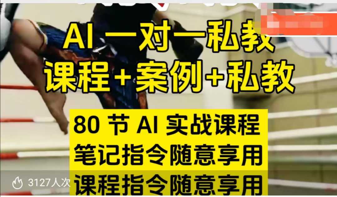 AI指令实战课，课程+案例，80节AI实战课程，笔记指令随意享用，课程指令随意享用（更新7月）-中创项目网