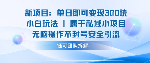 新项目单日即可变现3张的小白玩法无脑操作不封号安全引流-中创项目网