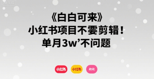 小白可来 小红书项目不需要剪辑 单月3w不是问题-中创项目网
