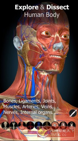 Anatomy Learning 3D解剖学v3.1.466高级版-中创项目网
