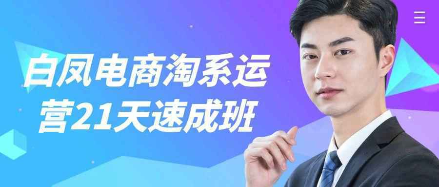 白凤电商淘系运营21天速成班-中创项目网