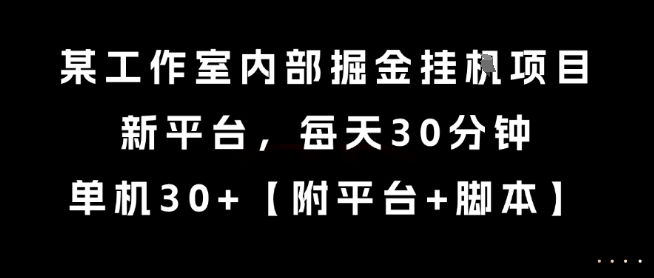 某工作室内部掘金挂G项目，新平台，每天30分钟，单机30+【揭秘】-中创项目网