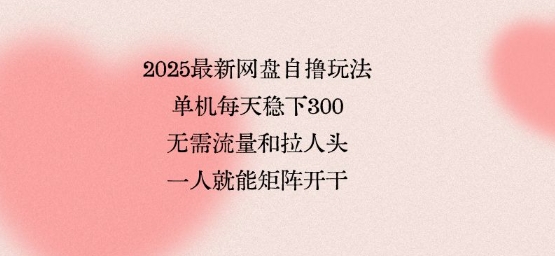 2025最新网盘自撸玩法，单机每天稳下3张，无需流量和拉人头，一个人就可轻松矩阵，全网独一份【揭秘】-中创项目网