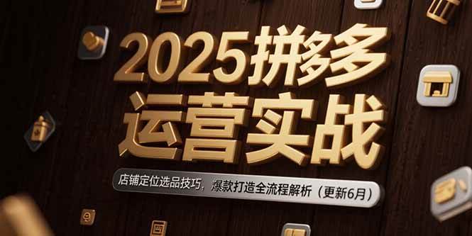 （15235期）2025拼多多运营实战：店铺定位选品技巧，爆款打造全流程解析（更新6月）-中创项目网